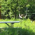 Blockhaus In Gajowka Mit Kaminofen By Interhome *