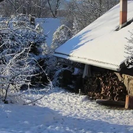 Feriehus Blockhaus In Gajowka Mit Kaminofen By Interhome Mirsk