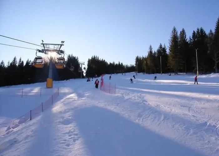 Blockhaus In Mit Kaminofen By Interhome Ferienhaus Mirsk