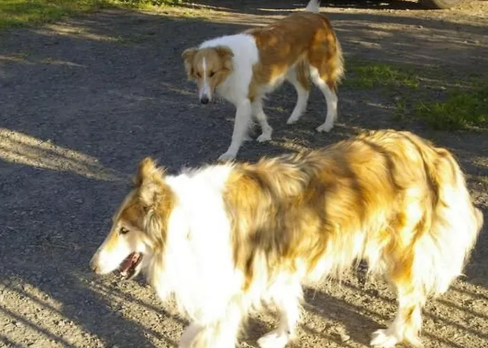 Blockhaus In Mit Kaminofen By Interhome Mirsk
