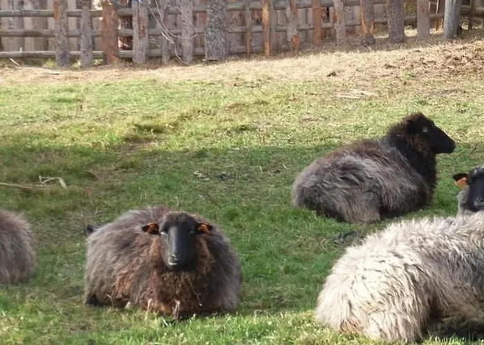 Blockhaus In Mit Kaminofen By Interhome Ferienhaus Mirsk