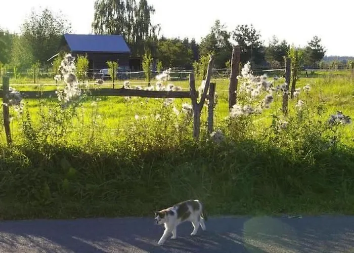 Blockhaus In Mit Kaminofen By Interhome * Mirsk