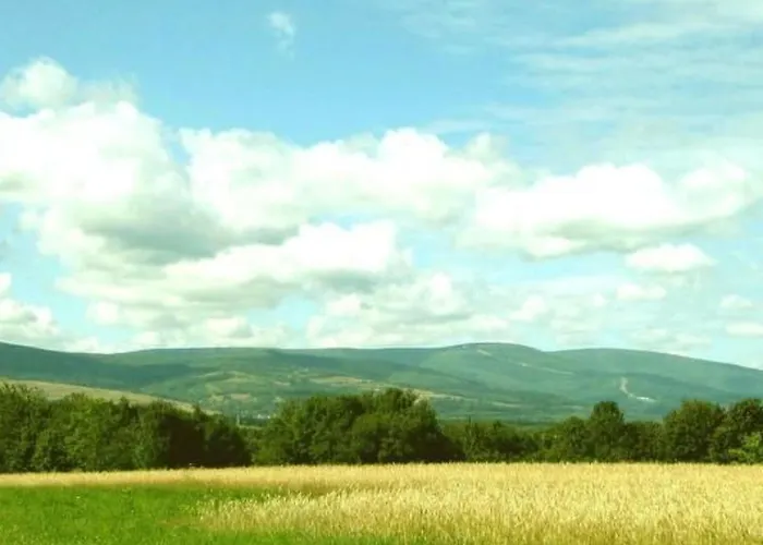 Ferienhaus Blockhaus In Mit Kaminofen By Interhome