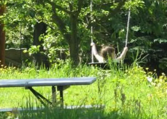 Blockhaus In Mit Kaminofen By Interhome *